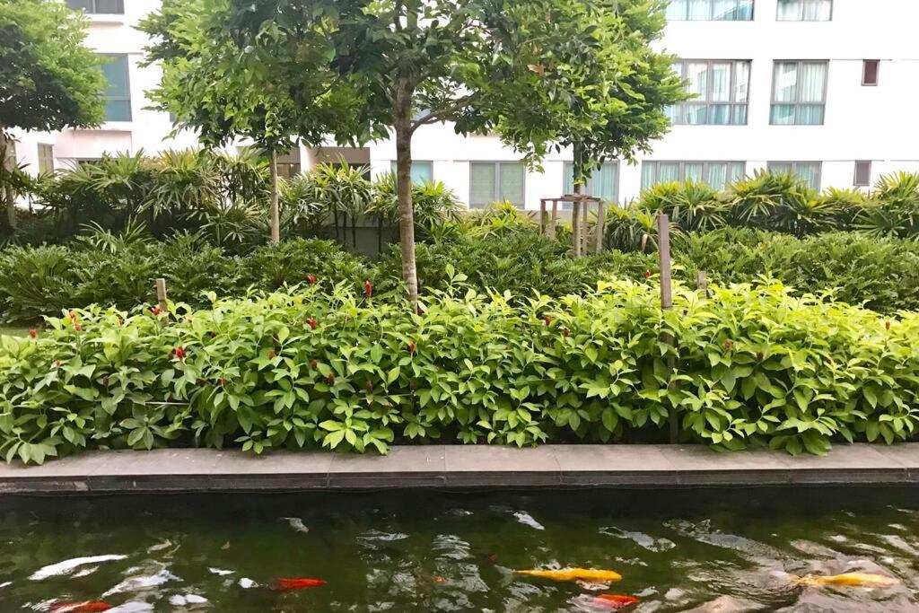 Condo In Imago Mall 亚庇最大商场imago楼里公寓 코타키나발루에서가장큰쇼핑센터아파트 Exterior foto
